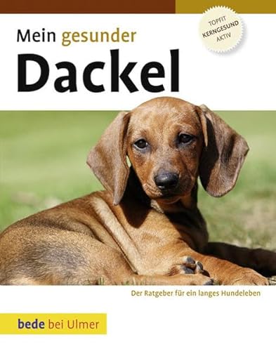 Mein gesunder Dackel: Der Ratgeber für ein langes Hundeleben von Ulmer Eugen Verlag
